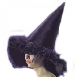 chapeau-de-sorcier-sorciere-plumes-noires