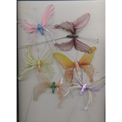 6-papillons-transparents-colores-sur-pic