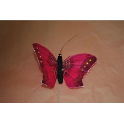 papillon-fuchsia-sur-pic