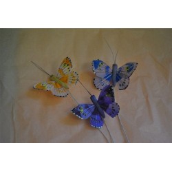 petits-papillons-sur-pics