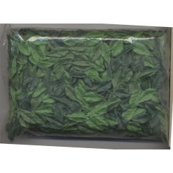 sachet-de-petites-feuilles-nuances-de-vert