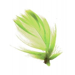 sachet-de-100-gr-de-plumes-vert-anis-plumes-veritables