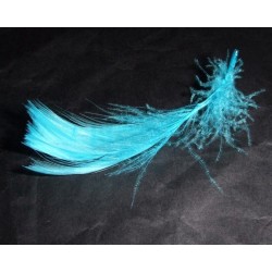 sachet-de-12-gr-de-plumes-turquoise-plumes-veritables