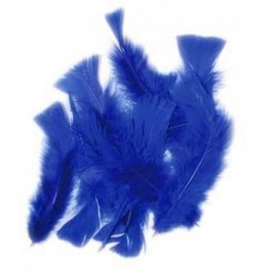 sachet-de-20-gr-de-plumes-bleues-plumes-veritables