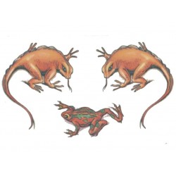 3-tatouages-temporaires-motifs-reptiles-colores