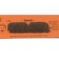 moustache-menjou-type-brosse-chatain
