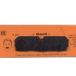 moustache-menjou-type-brosse-noire