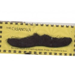moustache-casanova-type-brosse-noire
