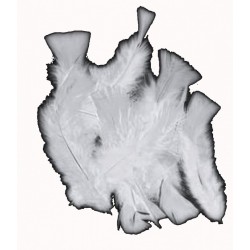 sachet-de-20gr-de-plumes-gris-clair-argente-plumes-veritables