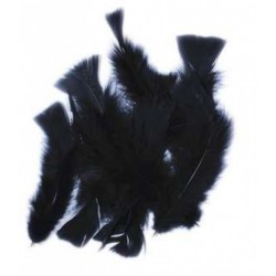 sachet-de-20gr-de-plumes-noires-plumes-veritables