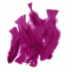 sachet-de-20-g-de-plumes-fuchsia-plumes-veritables