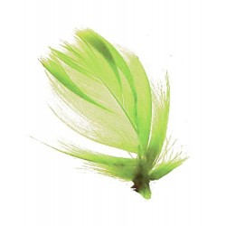 sachet-de-60-plumes-vert-anis-plumes-veritables