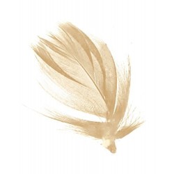 sachet-de-100-gr-de-plumes-ivoire-plumes-veritables
