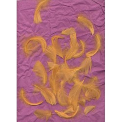 sachet-de-100-gr-de-plumes-mandarine-plumes-veritables