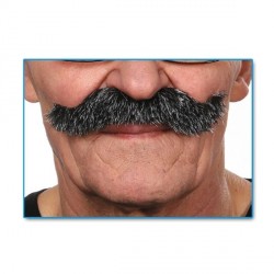 moustache-scoundrel-grisonnante-grand-modele-tres-fournie