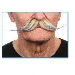 moustache-droite-dite-a-aiguilles-platine-meche-de-noire