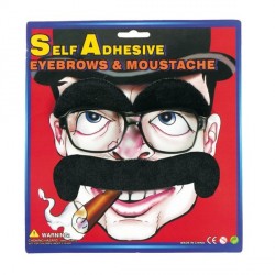 moustache-fer-a-cheval-noire-avec-sourcils-et-lunettes