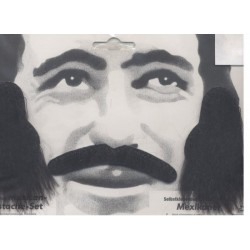 rouflaquettes-noires-poils-longs-avec-moustache-type-brosse-favo