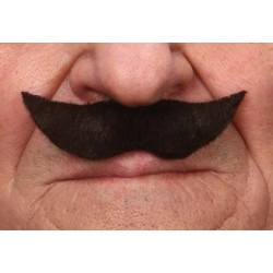 moustache-noire-petites-pointes-relevees