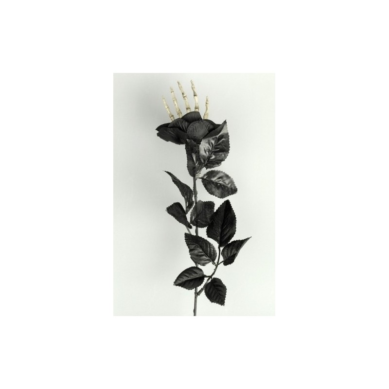 Main De Squelette Dans Une Rose Noire En Tissu Sur Tige Et Feuil Festi Fiesta Main De Squelette Dans Une Rose Noire En Tissu Sur Tige Et Feuil Festi Fiesta