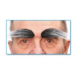 sourcils-noirs-grisonnants-tres-fournis