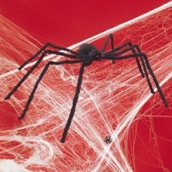 1 araignée noire velue à longues pattes géante Halloween