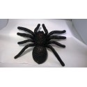 1 araignée dodue plastique noir avec paillettes yeux rouges Halloween