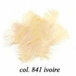 sachet-de-10gr-de-plumes-ivoire-plumes-veritables
