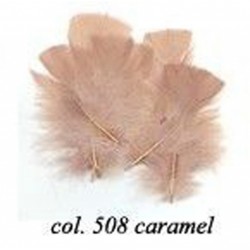 sachet-de-10gr-de-plumes-caramel-plumes-veritables