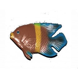 1-petit-poisson-tropical-marron-bleu