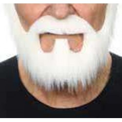barbe-blanche-en-collier-avec-mouche-et-moustache