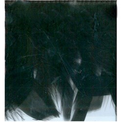 60-cm-de-plumes-noires-sur-ruban-satin-franges