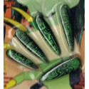 10 Faux ongles ethniques sculptés vert sur fond noir Halloween