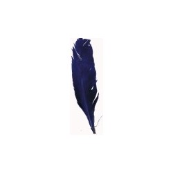 1-plume-naturelle-bleue-nuit-plume-d-indien
