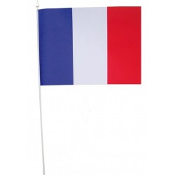 10-drapeaux-france-bleu-blanc-rouge-tricolore-10x15-cm