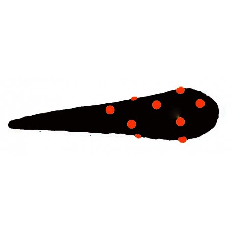 gourdin-prehistorique-gonflable-noir-et-rouge