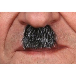 moustache-grise-poivre-et-sel-charlie-chaplin-charlot