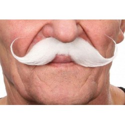 moustache-elegante-blanche-grand-modele