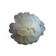 25-fleurs-blanches-en-papier-crepon-a-ouvrir