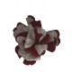 25-fleurs-blanches-en-papier-crepon-a-ouvrir
