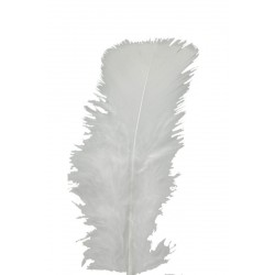 plumes-de-dinde-pieds-plats-rouges-sachet-de-plumes-25-g