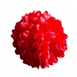 Fleur rouge sur pince noire la fleur est grande taille 15 centimètres