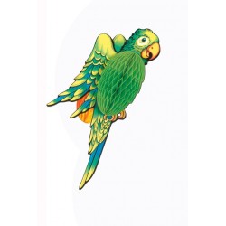 perroquet-depliable-17-cm-tons-de-vert-jaune-et-bleu