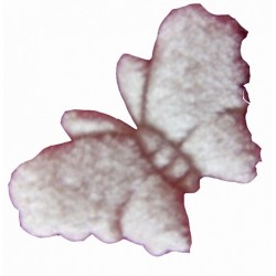 1-papillon-en-velours-ivoire