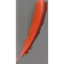 1-plume-naturelle-bleue-nuit
